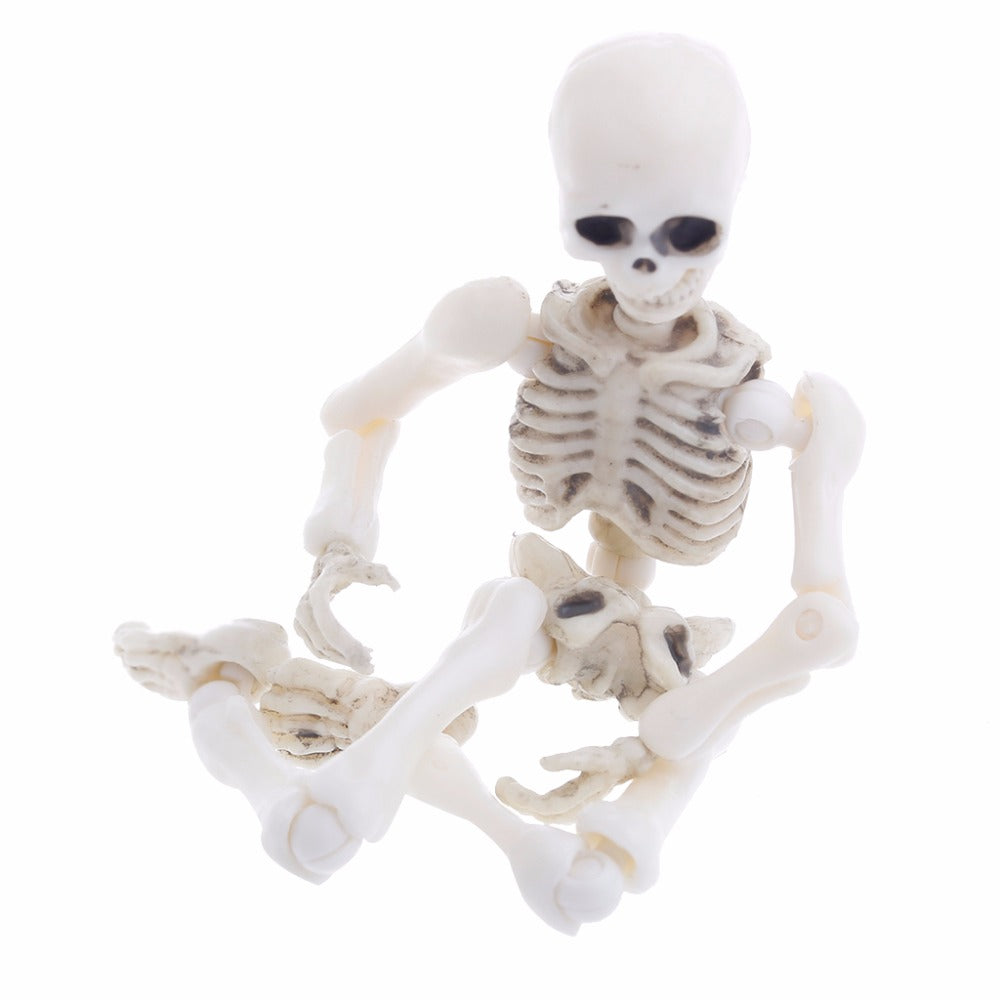 Movable Mr. Bones Skeleton